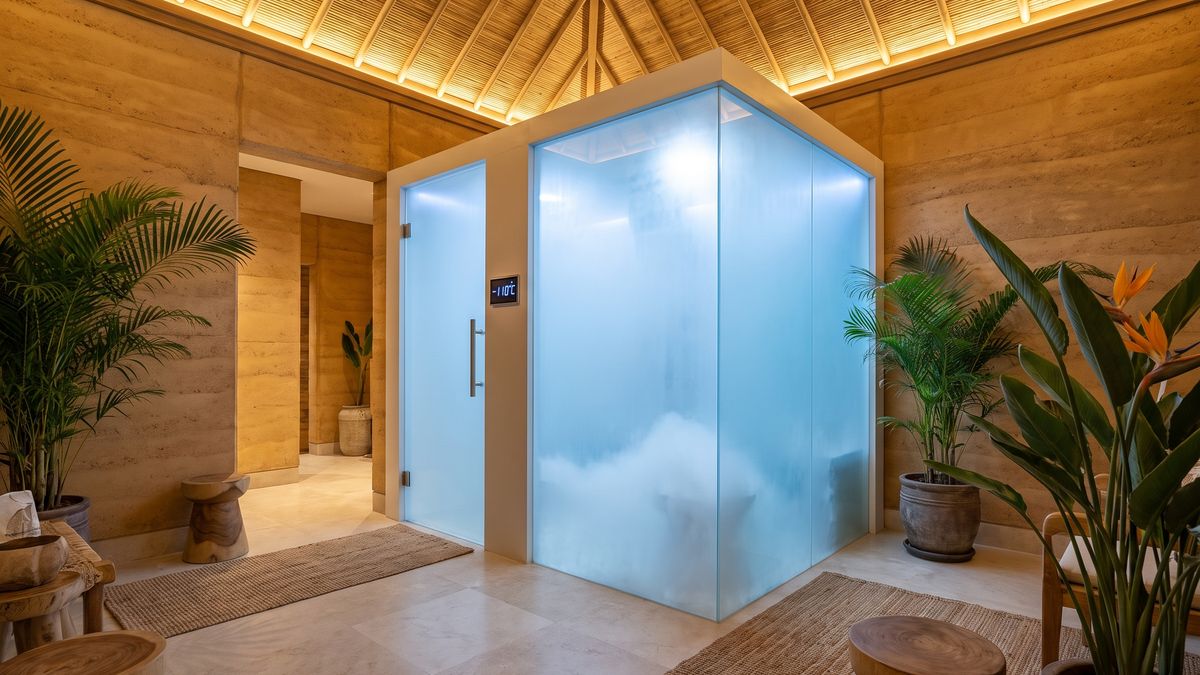 Electric cryotherapy chamber